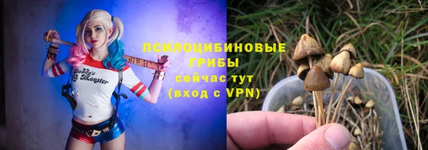 бошки Снежинск