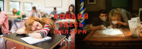 бошки Снежинск