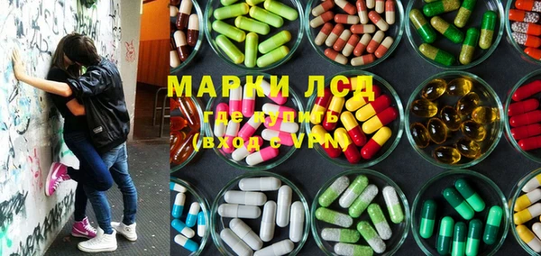 PSILOCYBIN Слюдянка