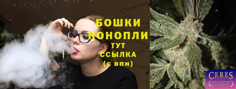 наркота  Александровск  Шишки марихуана план 